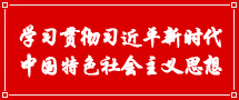 学习贯彻习近平新时代中国特色社会主义思想
